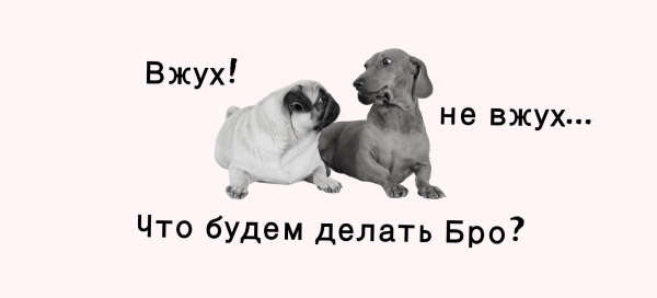 Посевы в Телеграм. Кейс закупа в Телеграм для эксперта по автоворонкам
Посевы в Телеграм. Кейс закупа в Телеграм для эксперта по автоворонкам
