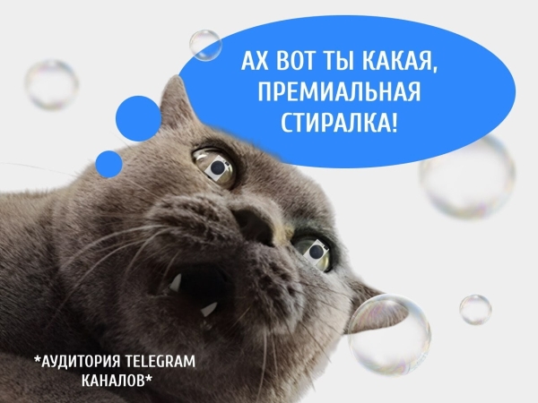 
                    Как мы продвигали стиралки в Телеграме: потратили 55 тысяч, получили 856 кликов и 0 продаж, но клиент остался доволен            