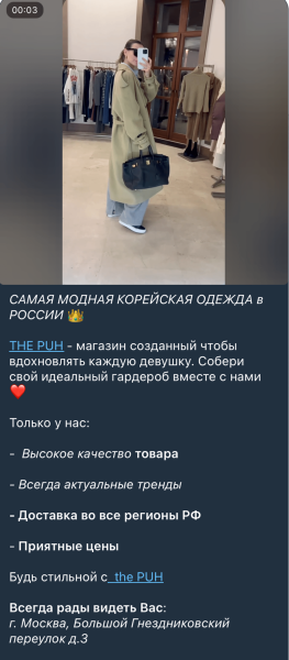 
                    Аудит продвижения: как бренд женской премиальной одежды THE.PUH теряет ~300 000 рублей ежемесячно на посевах            