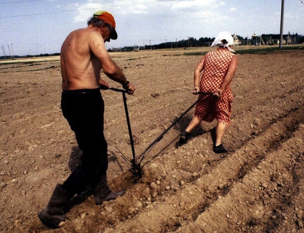 
                    Инфлюенс-маркетинг, который эффективнее любого таргетинга            