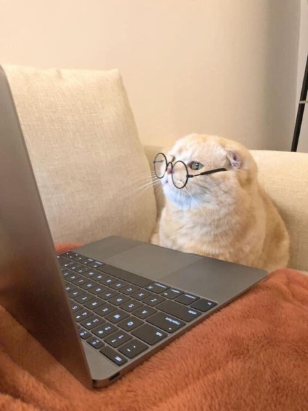 Как я залил статью ни о чем и что-то получил             
                    Как я залил статью ни о чем и что-то получил