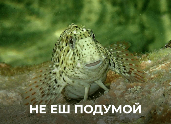 Сайт портовый, кейс фартовый: как сделать современный сайт для торгового порта
Сайт портовый, кейс фартовый: как сделать современный сайт для торгового порта