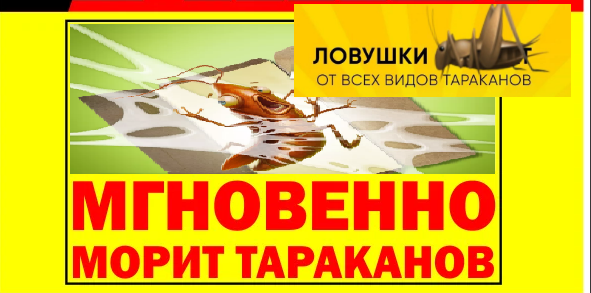 
                    Ложный маркетинг: купить нельзя попасться            