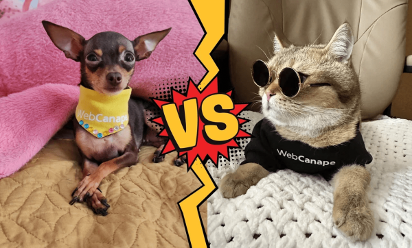 Люди проведут 500 млн лет, используя социальные сети в 2024 году!
Люди проведут 500 млн лет, используя социальные сети в 2024 году!