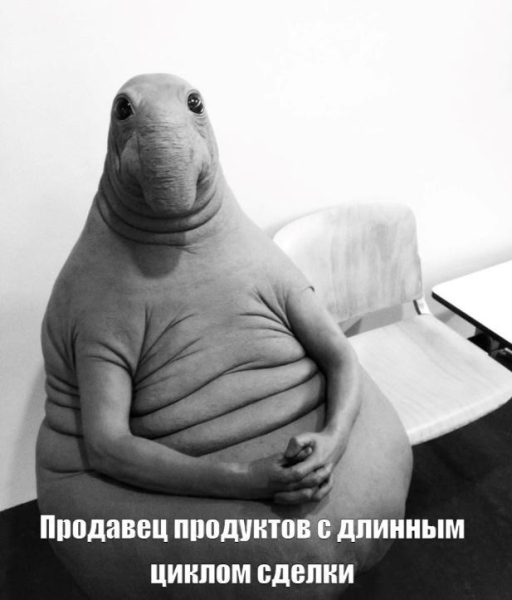 
                    Цена не имеет значения. Как я легко продаю дорогие продукты            