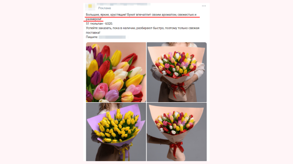 
                    Как с помощью психологических уловок увеличить продажи в соцсетях: практическое руководство с примерами            