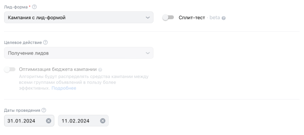 
                    Как настраивать кампании с лид-формами: пошаговый гайд для бизнеса            