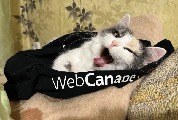 
                    Четвероногие амбассадоры бренда: как мы сделали корпоративный мерч для животных            