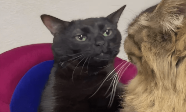 
                    Заработало! — или 4 детали пазла, без которых контекст деняк не принесёт            