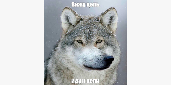 Тебя оштрафуем, тебя поцелуем, а тебе делегируем: 9 способов повысить эффективность сотрудников             
                    Тебя оштрафуем, тебя поцелуем, а тебе делегируем: 9 способов повысить эффективность сотрудников