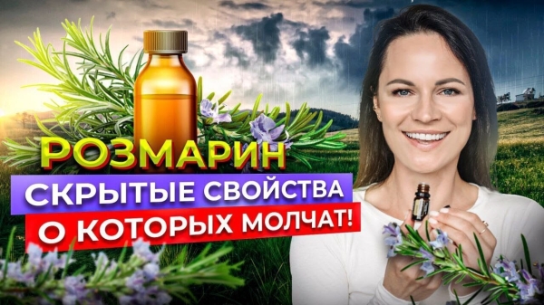 
                    Как эксперту из 1К просмотров сделать 240 000 на Youtube. Анализ, Кликбейт и капелька Розмарина…            