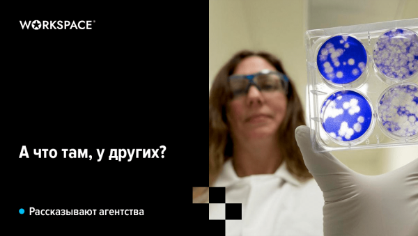 
                    Маркетинговый бюджет: особенности расходов на продвижение в различных компаниях            