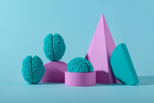 
                    Применение психологии цвета и формы в дизайне упаковки для увеличения конверсии            