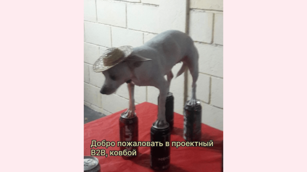 
                    «С рекламой всё плохо, давайте немного подрисуем отчёт» — как подрядчики подделывают отчёты и как от этого защититься            