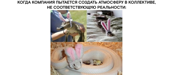 
                    Что для нашей команды дороже денег            