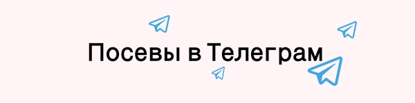 Реклама Telegram Ads и посевы в Телеграм: как забрать весь платный трафик внутри мессенджера и привлечь массу клиентов?
Реклама Telegram Ads и посевы в Телеграм: как забрать весь платный трафик внутри мессенджера и привлечь массу клиентов?