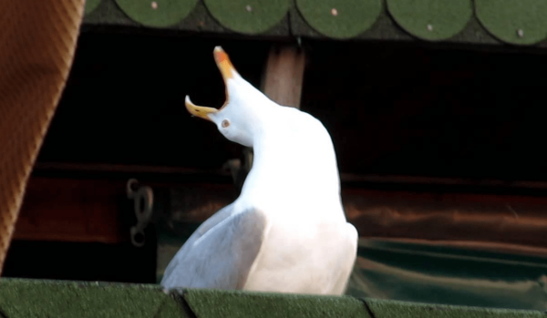 
                    Девочки, все сюда! Валя, Аннушкаа! Как мы собрали 2000 человек на форум сетевого маркетинга за 3 недели до дедлайна            