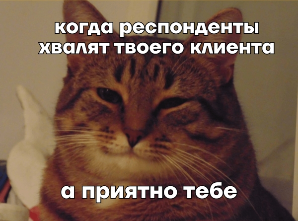 
                    Посмотреть на свой бизнес чужими глазами: как мы провели маркетинговое исследование для семейного производства кухонь            