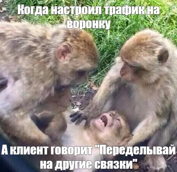 Как мы запускаем магазин одежды в ВКонтакте и на Wildberries с нуля
Как мы запускаем магазин одежды в ВКонтакте и на Wildberries с нуля