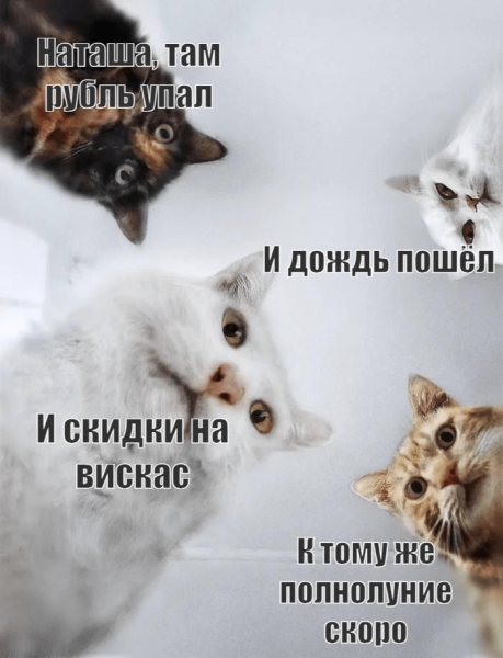 
                    Пока вы просто читаете новости, я с их помощью продаю            