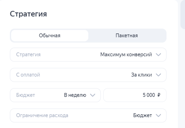 
                    Настройка «Яндекс.Директа» 2024. Пошаговая инструкция            