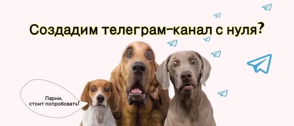 
                    Как создать Телеграм канал: гайд по запуску и раскрутке своего канала в Telegram с нуля            