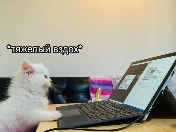 Куда инвестировать деньги?
Куда инвестировать деньги?