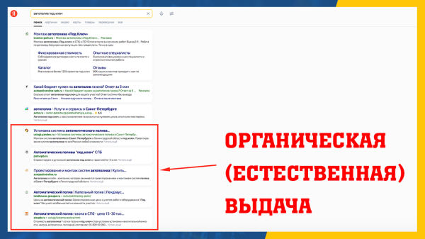Раскрутка сайта — как увеличить посещаемость сайта?
Раскрутка сайта — как увеличить посещаемость сайта?