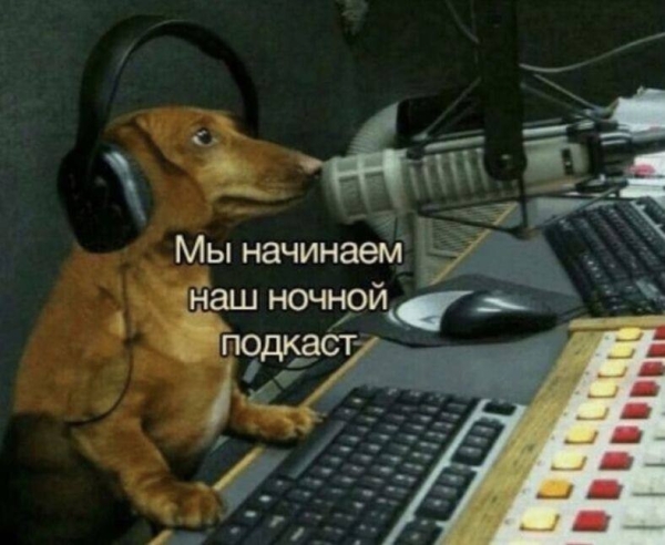 
                    Подкасты: новая эра в рекламе? 🎧            
