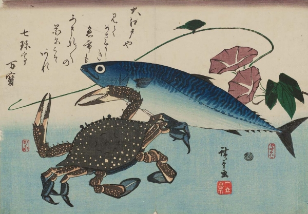 
                    Эмоциональный крючок для клиентов. Геймификация в отношениях с покупателями, пользователями и другими источниками доходов            