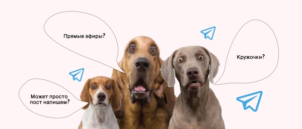 
                    Как создать Телеграм канал: гайд по запуску и раскрутке своего канала в Telegram с нуля            