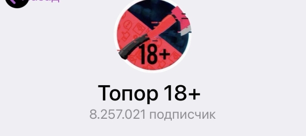 
                    Владелец или тот, кто зарабатывает больше миллиона рублей в месяц.            