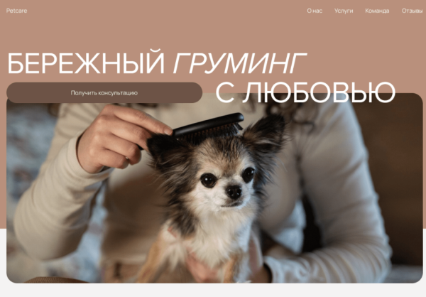 
                    Как использовать сайт так, чтобы он приносил заявки?            