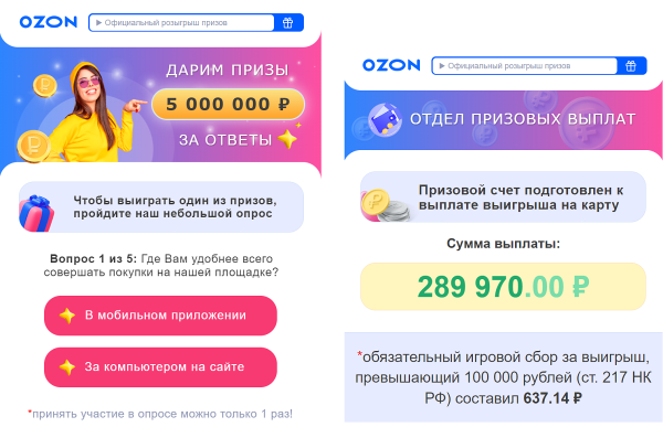 Ozon и F.A.C.C.T. назвали основные мошеннические схемы при онлайн-покупках